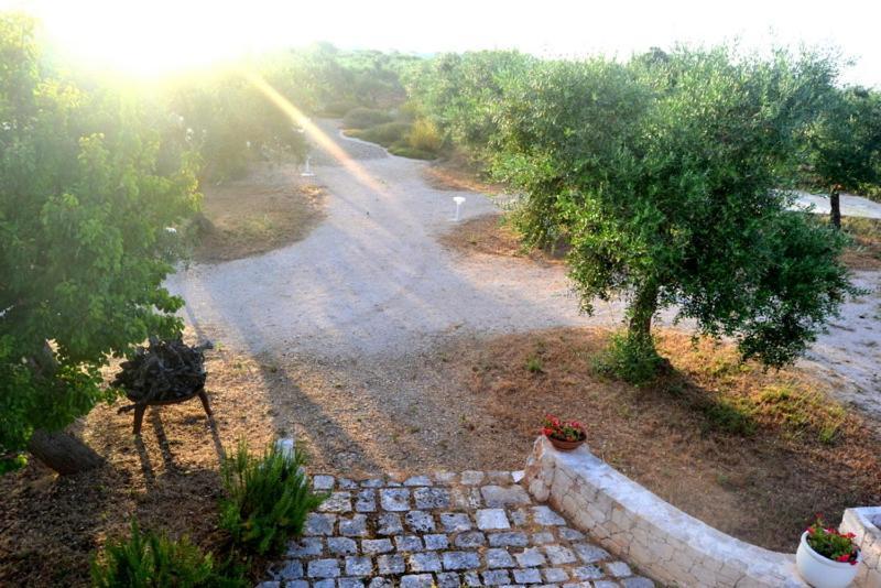 L'Uliveto Daire Cisternino Dış mekan fotoğraf